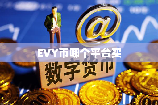 EVY币哪个平台买