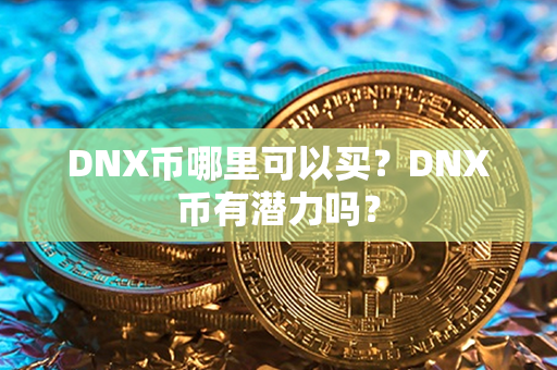 DNX币哪里可以买？DNX币有潜力吗？