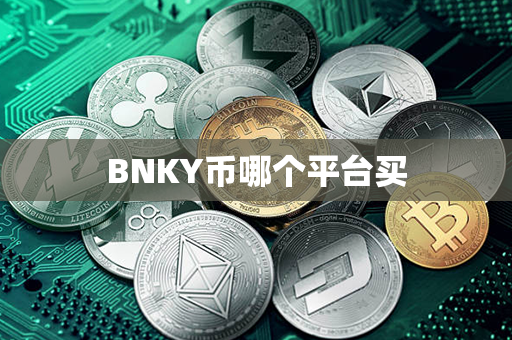 BNKY币哪个平台买