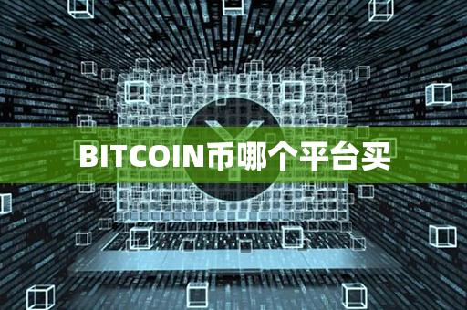 BITCOIN币哪个平台买