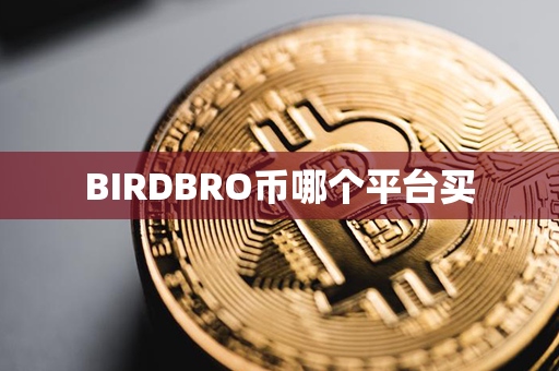 BIRDBRO币哪个平台买