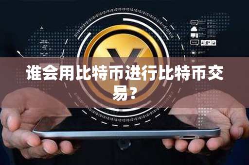 谁会用比特币进行比特币交易？