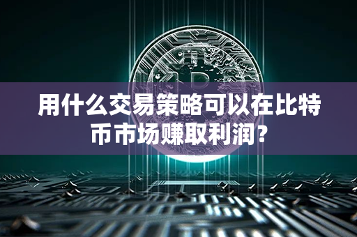 用什么交易策略可以在比特币市场赚取利润？