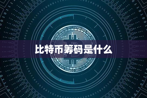 比特币筹码是什么