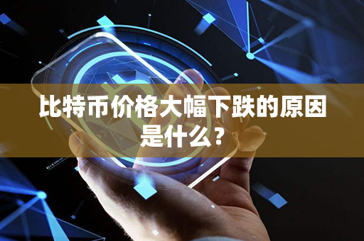 比特币价格大幅下跌的原因是什么？