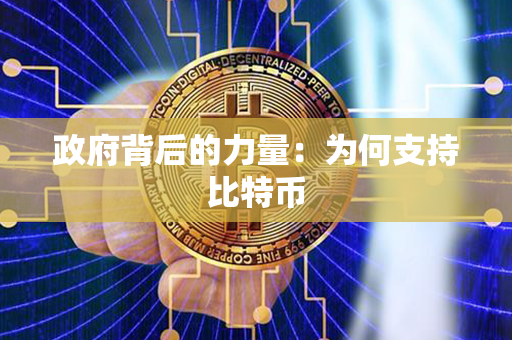 政府背后的力量：为何支持比特币