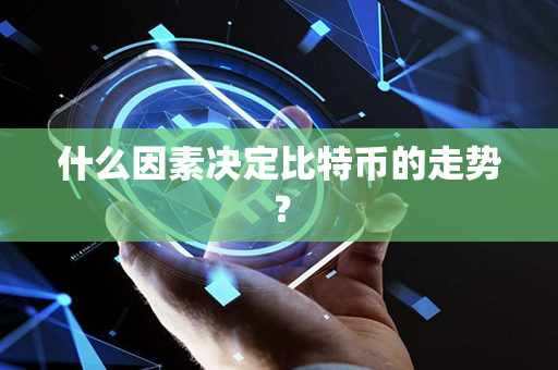 什么因素决定比特币的走势？