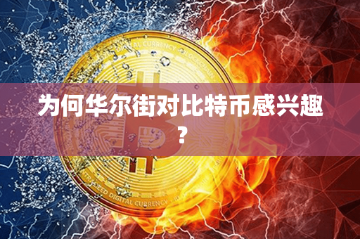 为何华尔街对比特币感兴趣？